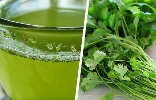 how to Loss Weight with Coriander Leaves 